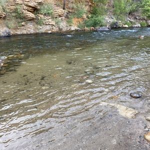 Meet your Posher, Shirley